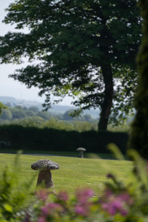 The Lambing Shed, Cornwall Altarnun Ngoại thất bức ảnh